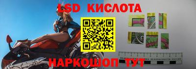 крисы Кингисепп