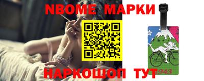 крисы Кингисепп