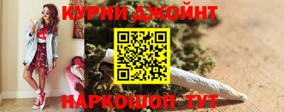 крисы Кингисепп