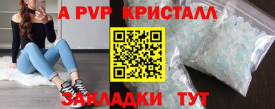 крисы Кингисепп