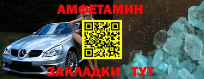 крисы Кингисепп