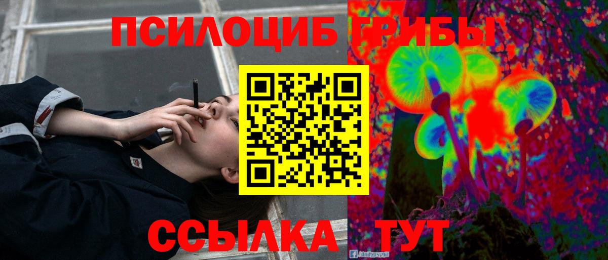 Галлюциногенные грибы Psilocybe  Вход с VPN  Волоколамск 
